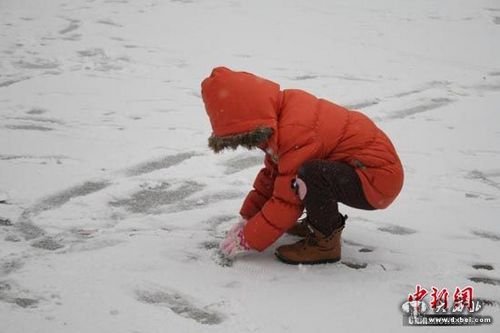 甘肃东部迎新年首场雪