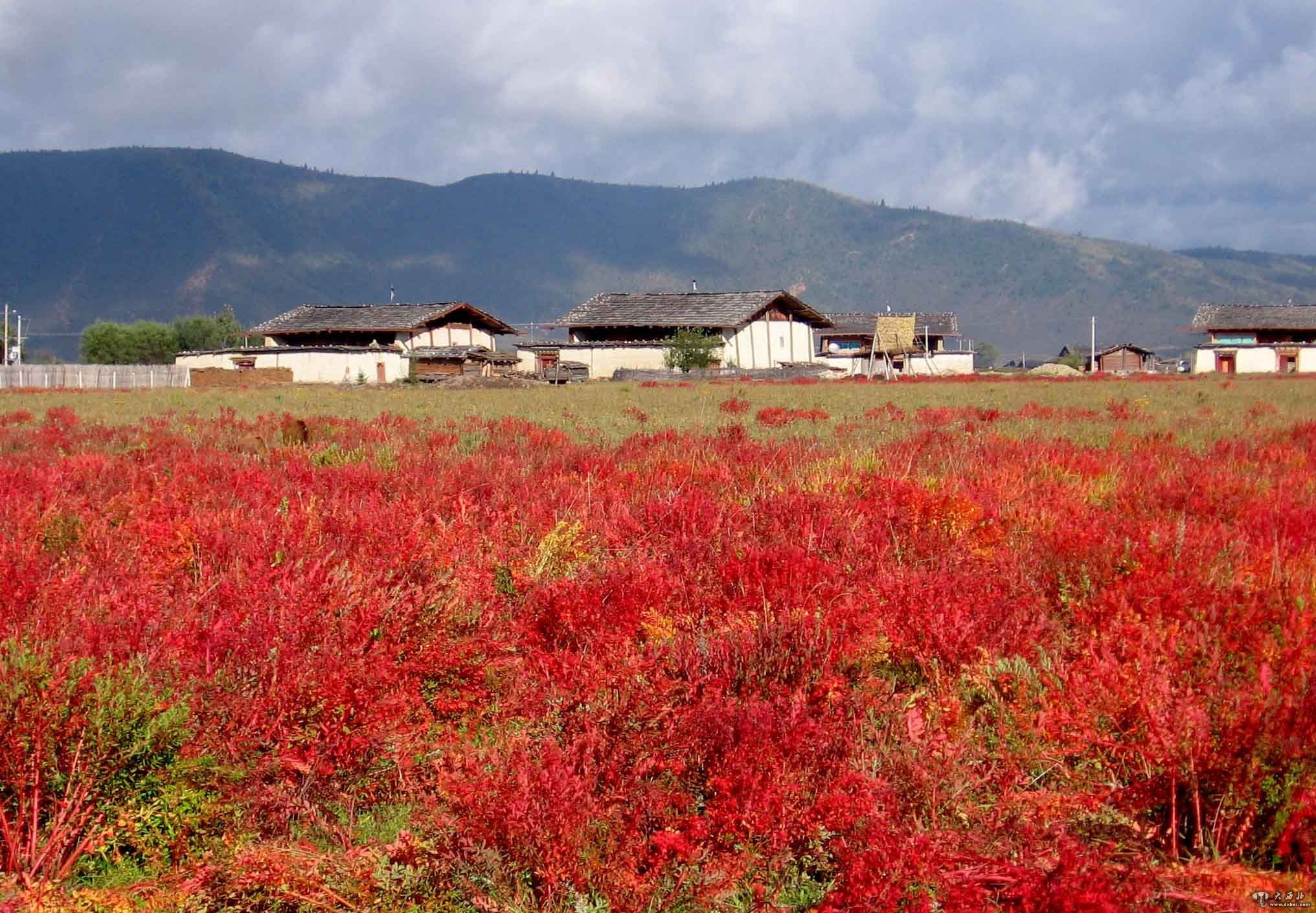 “最接近天堂的地方”——香格里拉