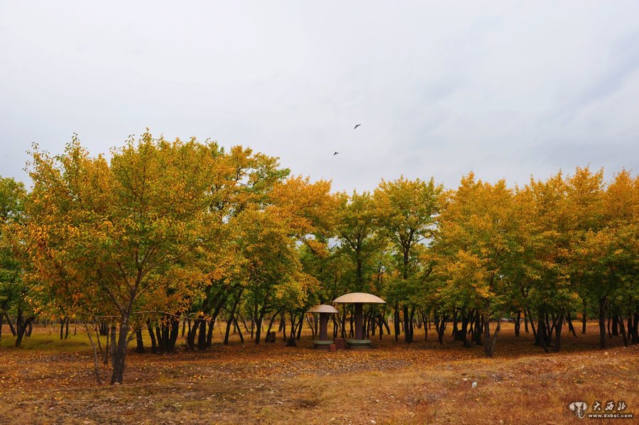 青城旅游避暑胜地——乌素图