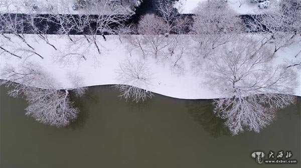 江苏多地迎鸡年首场降雪