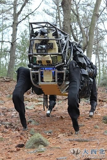 这种名为“领头狗”（AlphaDog）的步兵班组支援系统（Legged Squad Support System，LS3）的机器人设计用于为战场士兵部队携带重型负载。在演示期内，该机器人展示了在树林、岩石地、障碍物和城区地形中跟随士兵的能力。
