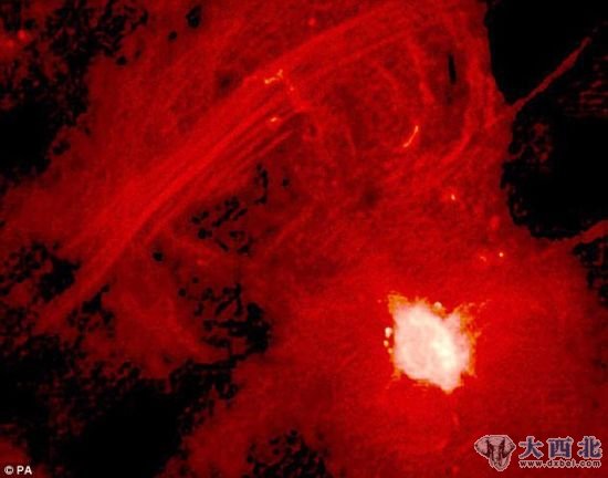 这幅照片是证明银河系中央存在一个超大质量黑洞的第一个证据。这个黑洞的质量相当于370万个太阳