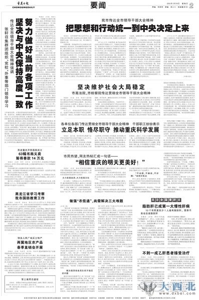 重庆日报今日第二版版面