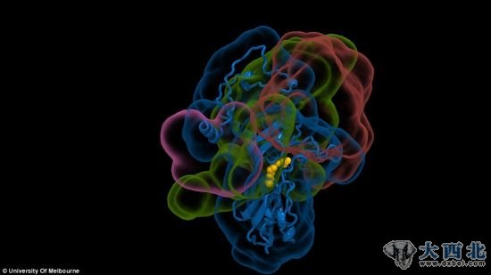 利用这些图像，科学家们将得以了解潜在的抗病毒药物将如何对抗病毒。在这张照片中，科学家们希望药物粒子能够附着其上的细胞部位用黄色予以标示