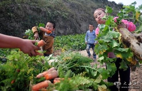 10月5日，在兰州市榆中县甘草店镇，几个小朋友在搬运刚刚采摘的萝卜。新华社记者 张锰 摄