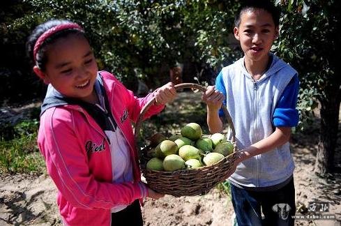10月5日，在兰州市榆中县甘草店镇，两个小朋友在搬运刚刚采摘的水果。新华社记者 张锰 摄