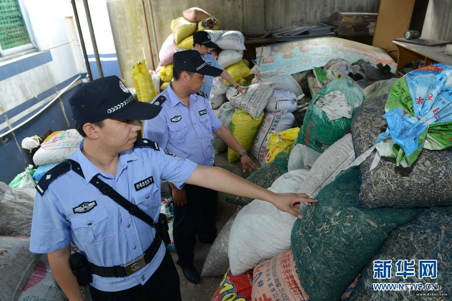 40吨病死甲鱼骨流入中药材市场(高清)