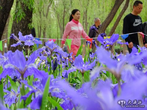 黄河步道景色美