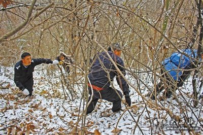 甘肃破获跨甘陕川湘非法猎杀濒危野生动物大案，抓获4嫌犯