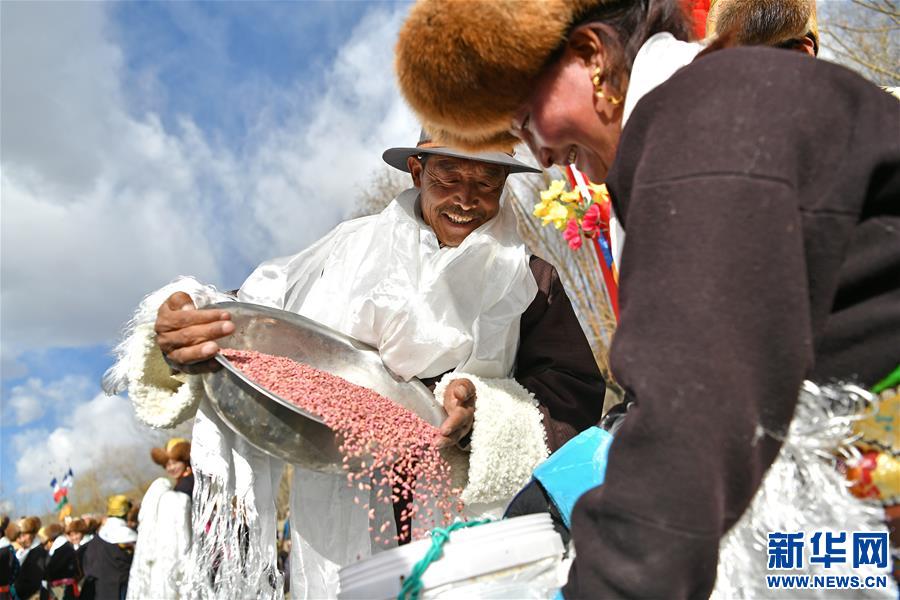 春耕第一犁：西藏农民