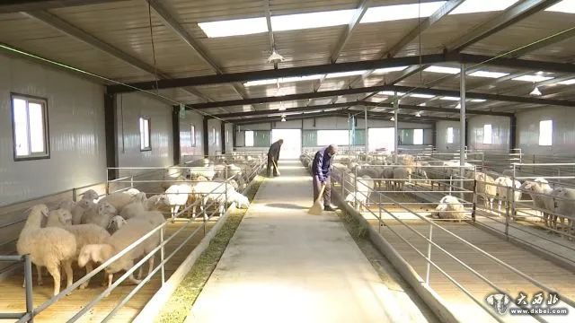 玉门市肉羊生态产业园