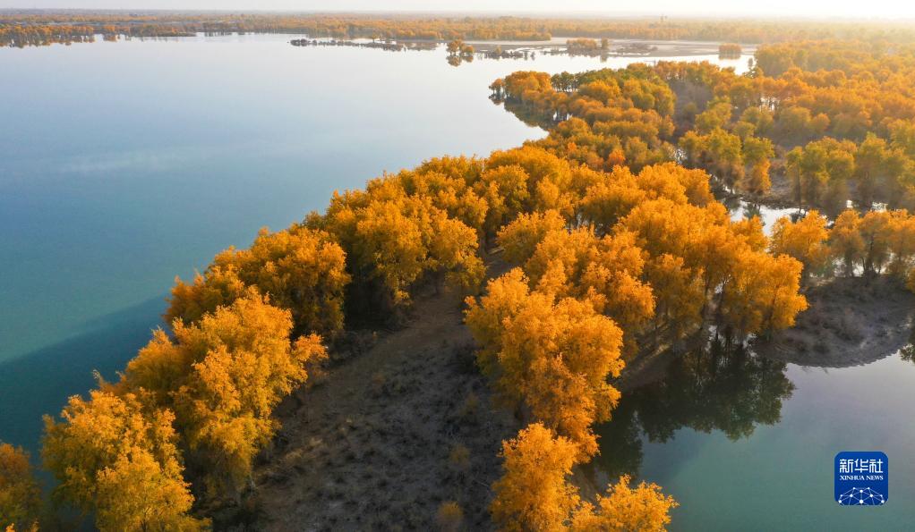 新疆塔里木河流域：深
